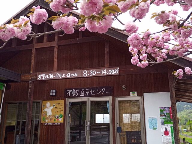 不動直売センターの写真1