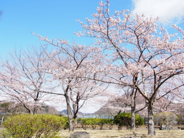 宮橋公園の写真1