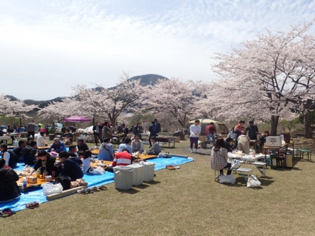 立輪水辺公園の写真1