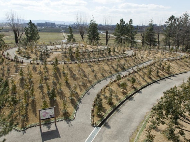 野々市中央公園 「ののいち椿館」・「椿山」の写真1