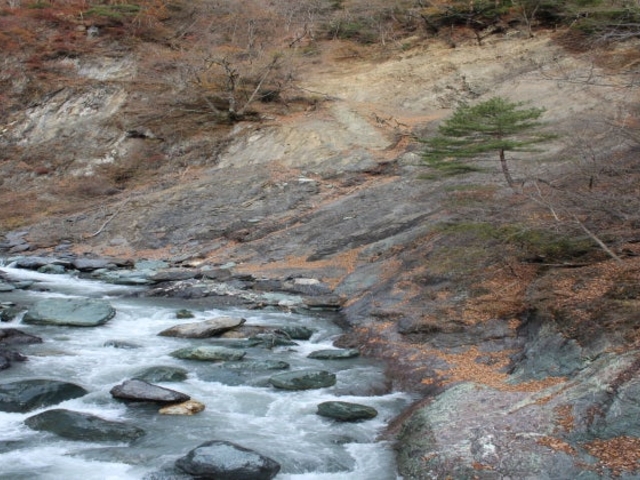 新倉断層_新倉断層 糸魚川-静岡構造線
