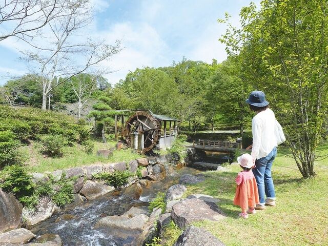 みたけの森の写真1