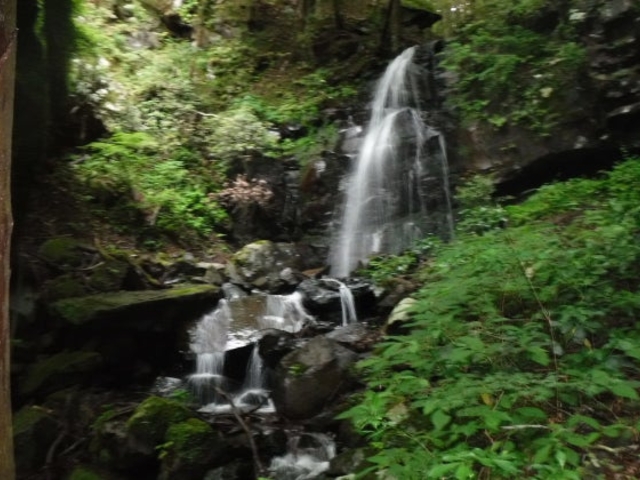 頼光対面の滝(不動の滝)の写真1