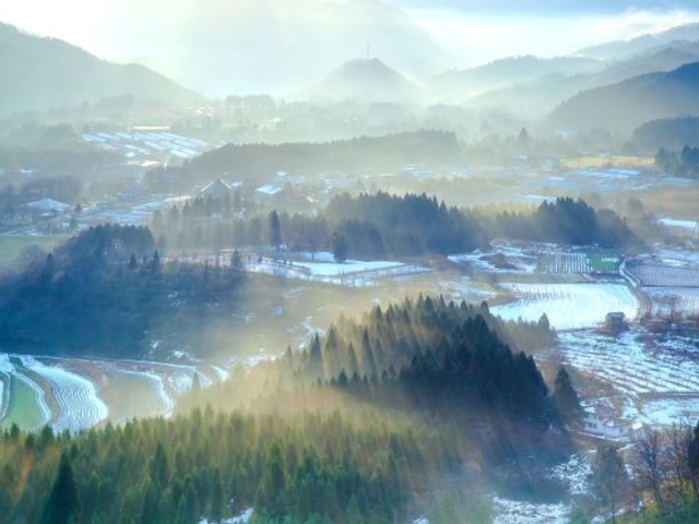 夜久野高原宝山のシャーの写真1