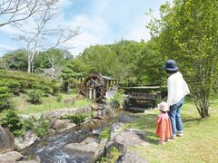 みたけの森の写真1