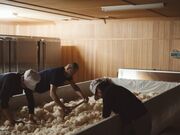山梨銘醸株式会社 酒処大中屋(売店)の写真2
