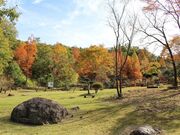 みたけの森の写真4