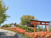 5つの世界遺産ビュー!王寺町・明神山山頂の写真3