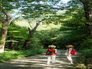 5つの世界遺産ビュー!王寺町・明神山山頂の写真4