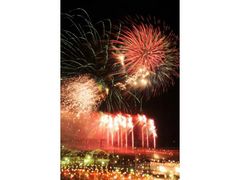 旭市いいおかYOU・遊フェスティバル2016海浜花火大会の写真1