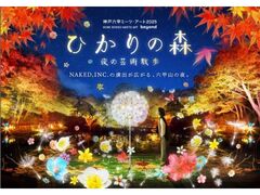 ひかりの森〜夜の芸術散歩〜の写真1