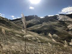 砥峰高原のすすきの写真1