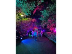 MARUGAME CASTLE ROAD(丸亀城キャッスルロード)2025−2026の写真1