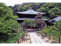 錦屏山瑞泉寺 初詣の写真1