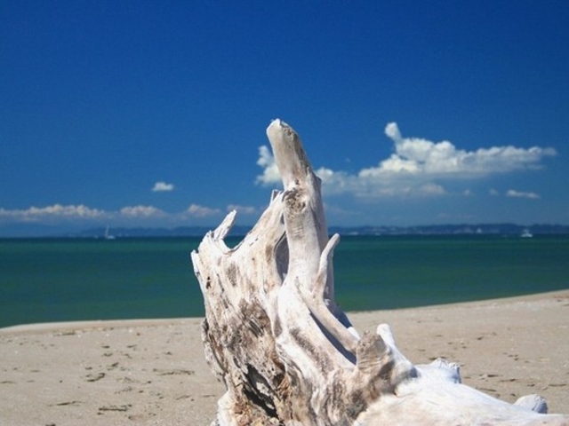 伊良湖岬