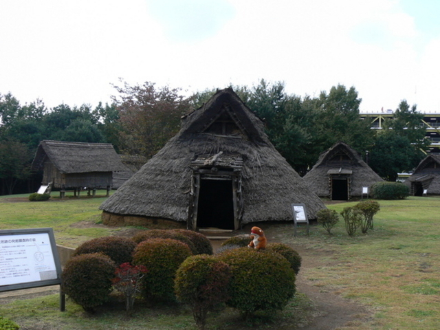 大塚・歳勝土遺跡