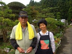 おおひら野菜市の写真1
