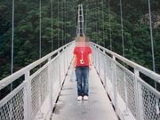 ミカさんの照葉大吊橋の投稿写真1