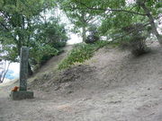 てえすけパパさんの乗場古墳の投稿写真1