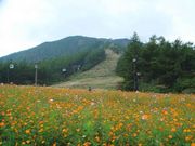 Chip&Daleさんのあだたら山ロープウェイの投稿写真1