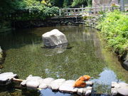 てえすけパパさんの轟水源の投稿写真1