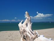 minamigaokaさんの伊良湖岬の投稿写真1