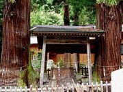 おでかけずきさんの仁科神明宮の社叢の投稿写真1