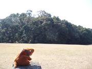 てえすけパパさんの岩戸山古墳の投稿写真1