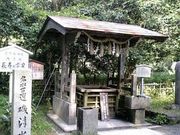 たももこさんの磯清水の投稿写真1