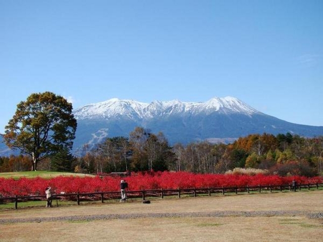 開田高原