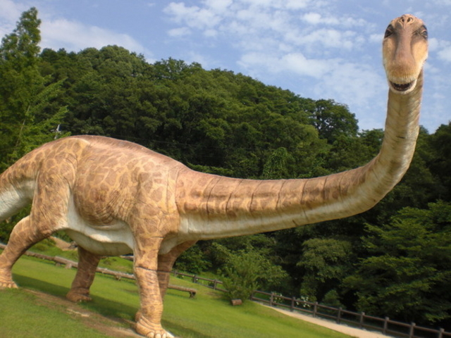 カブトガニ博物館