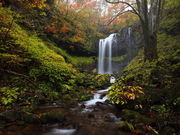 カイエンさんの霧降高原の投稿写真1