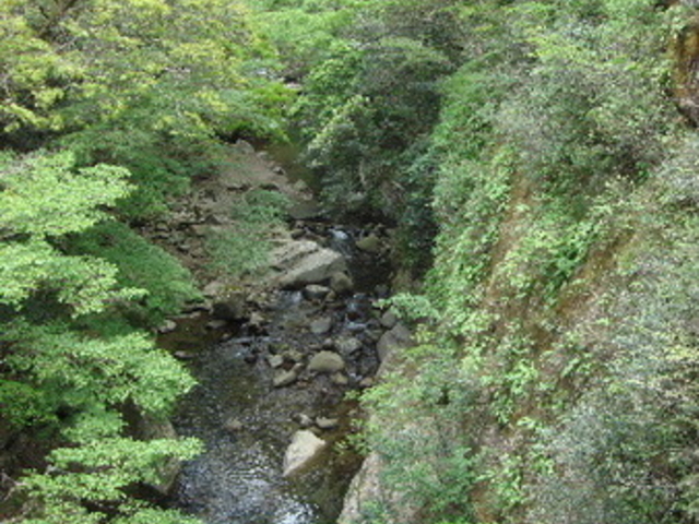 ぽんぽこさんの猪八重渓谷の投稿写真1