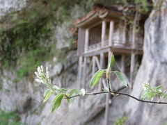 三佛寺投入堂の写真1