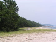 FORESTさんの府中海水浴場の投稿写真1