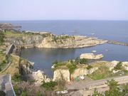 福草さんの亀島園地の投稿写真1