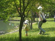 ののぱぱさんの古法華自然公園の投稿写真1