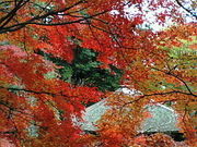 正やんさんの石山寺の投稿写真1