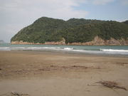 きよしさんの幸島の投稿写真1