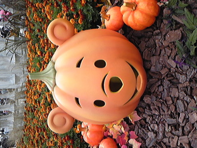東京ディズニーランド(R)