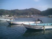 みのるぅさんの松島のカキ養殖の投稿写真1
