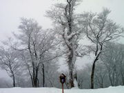 兼さんのオニコウベスキー場の投稿写真1