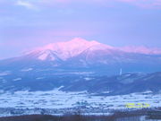 よろずやさんの富良野スキー場の投稿写真1