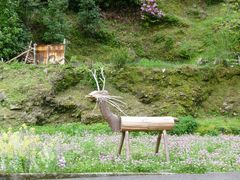 良ちゃんさんの熊野古道 大門坂への投稿写真1