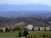 あおさんのサントリー登美の丘ワイナリーの投稿写真1