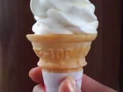 ちぃさんの道の駅 うつのみや ろまんちっく村への投稿写真1