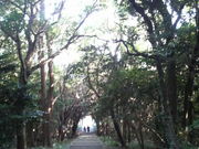 mariさんの牛窓神社の投稿写真1