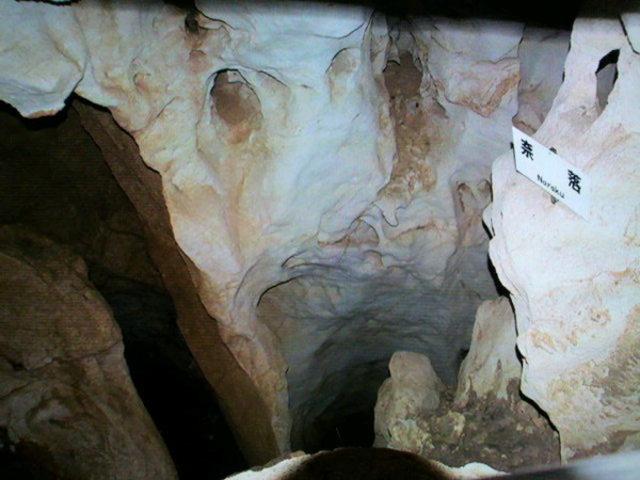 龍河洞博物館