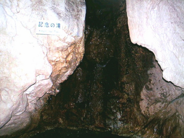 龍河洞博物館