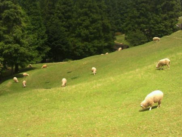 神戸市立六甲山牧場